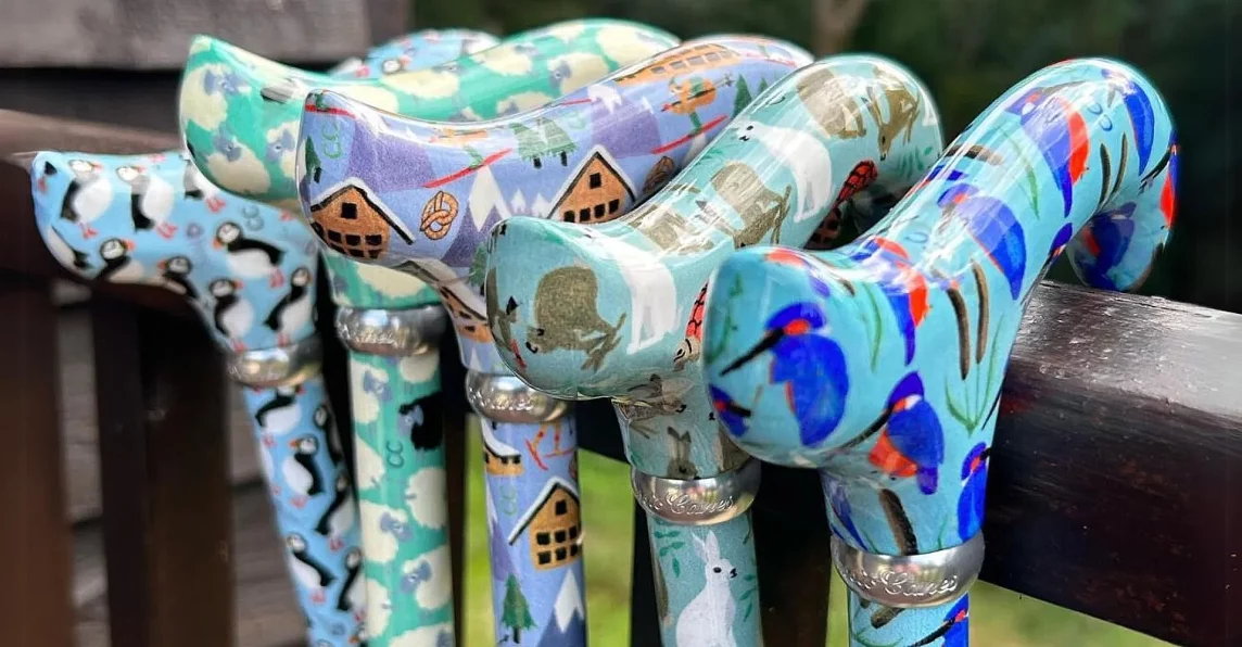 wandelstok voor ouderen