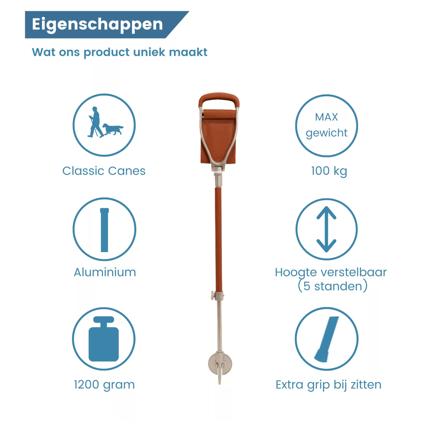 eigenschappen wandelstok met zitje van leer