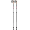 LEKI Nordic Walking stokken Instructor - Lichtgewicht