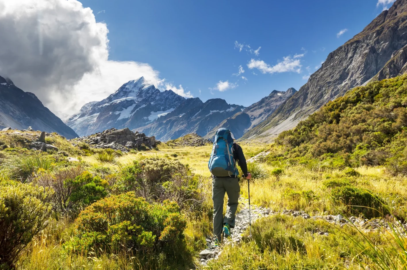 verschil trekkingstokken nordic walking stokken