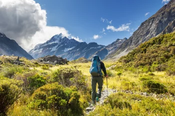 verschil trekkingstokken nordic walking stokken