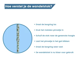 borgring wandelstok
