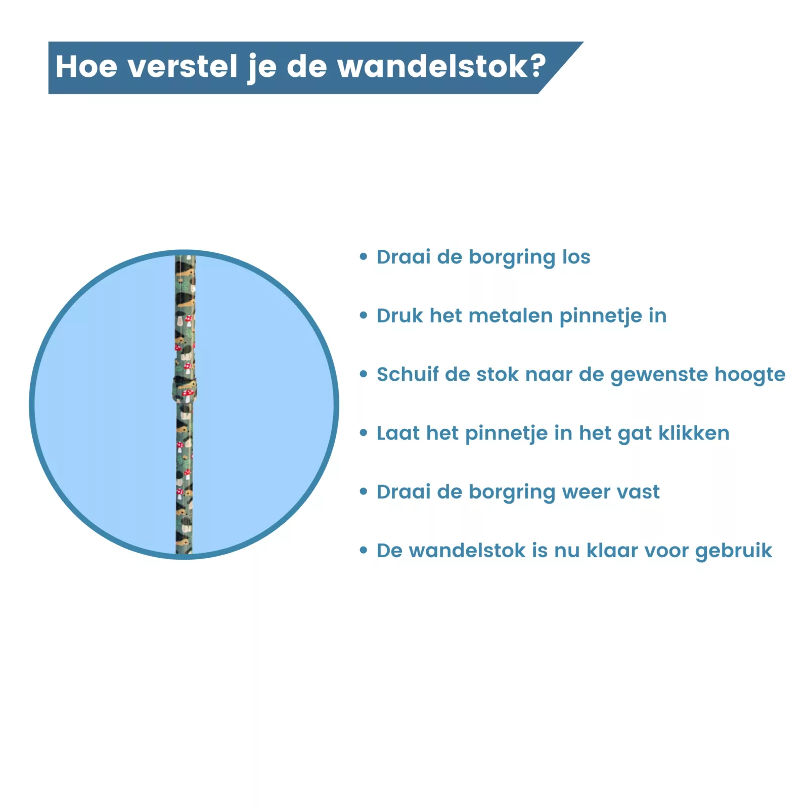 borgring wandelstok