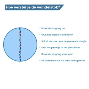 borgring wandelstok