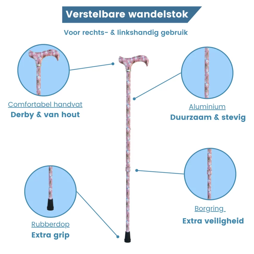 roze wandelstok met libelle