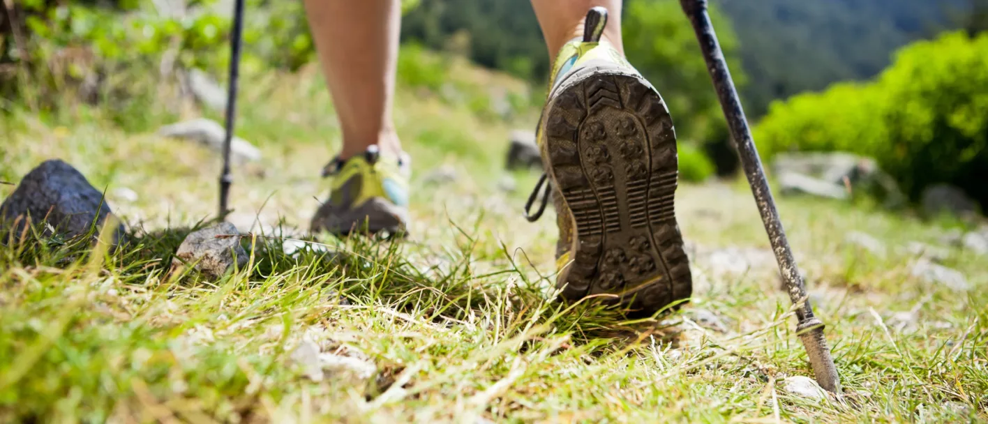 walkworld wandelstokken