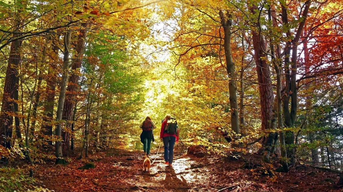 wandelroutes