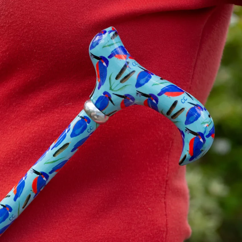 wandelstok verstelbaar ijsvogel